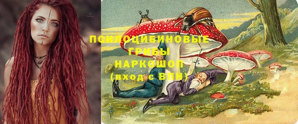 спиды Липки