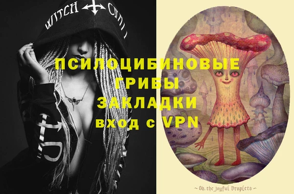 мдпв Лихославль
