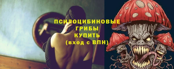 спиды Липки