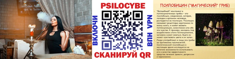 дарнет шоп  Юхнов  Галлюциногенные грибы Psilocybe 